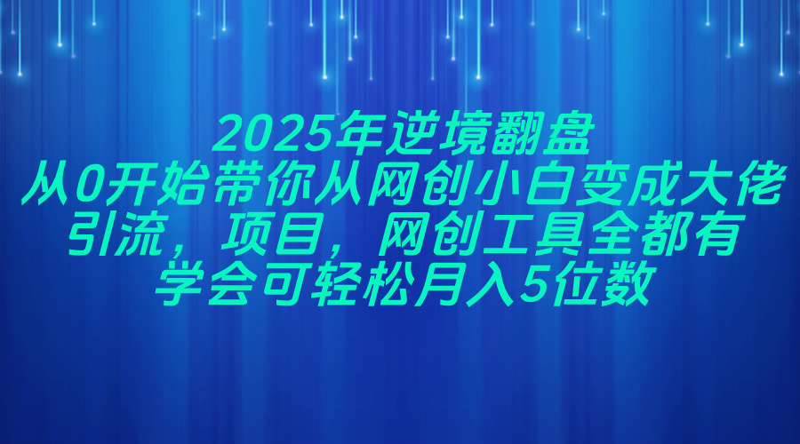 （14473期）2025年逆境翻盘，从0开始带你从网创小白变成大佬，引流，项目，网创工…
