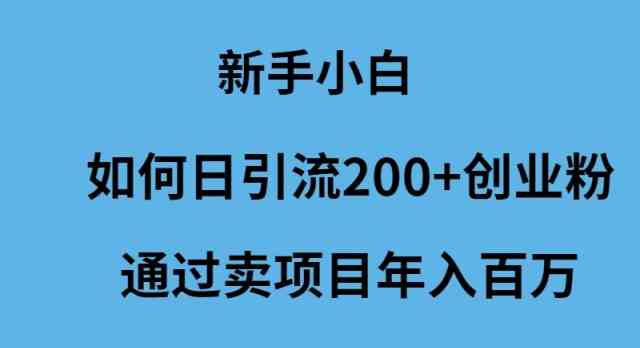 (9668期)新手小白如何日引流200+创业粉通过卖项目年入百万 (9668期)新手小白如何日引流200+创业粉通过卖项目年入百万