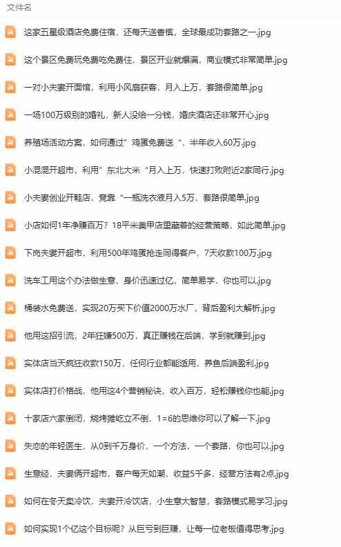 （9607期）真实有效391套商业模式，年入几十到几百万案例解析（电子书+视频+图文）（4）