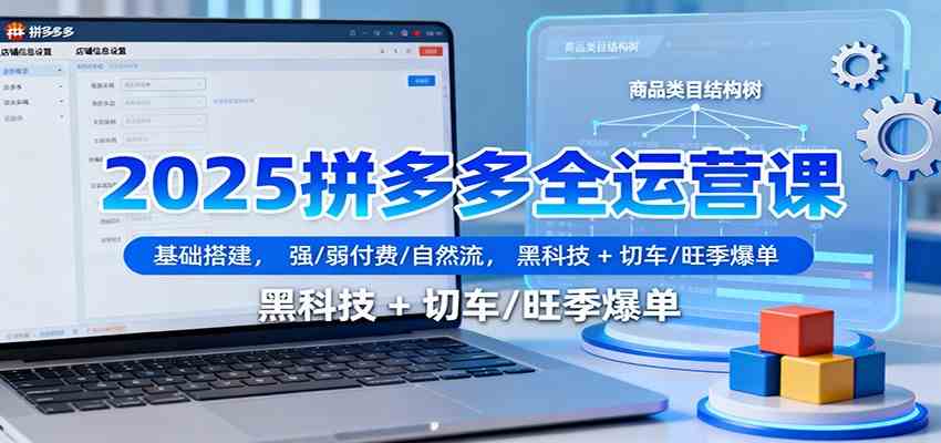 2025拼多多全运营课：基础搭建，强/弱付费/自然流，黑科技 + 切车/旺季爆单