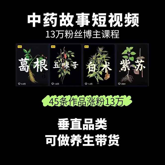 中药文化赛道：溯源故事开发，AI工具实战，平台运营，全方位解锁中医流量变现新路径（2）