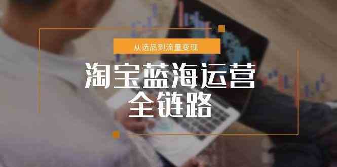 淘宝蓝海运营全链路,从选品到流量变现,小类目突围完整方案