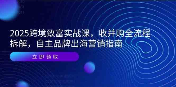 2025跨境致富实战课,收并购全流程拆解,自主品牌出海营销指南