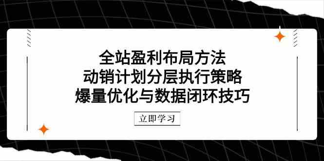 全站盈利布局方法：动销计划分层执行策略，爆量优化与数据闭环技巧