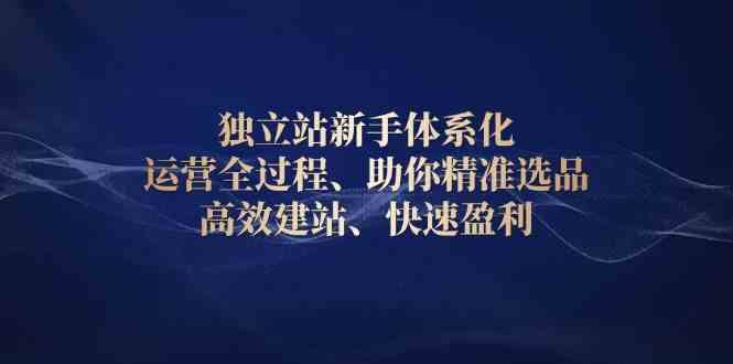 独立站新手体系化 运营全过程,助你精准选品、高效建站、快速盈利