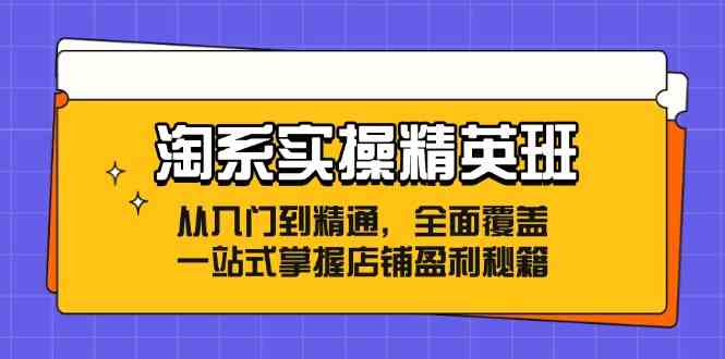 淘系实操精英班:从入门到精通,全面覆盖,一站式掌握店铺盈利秘籍 淘系实操精英班:从入门到精通,全面覆盖,一站式掌握店铺盈利秘籍
