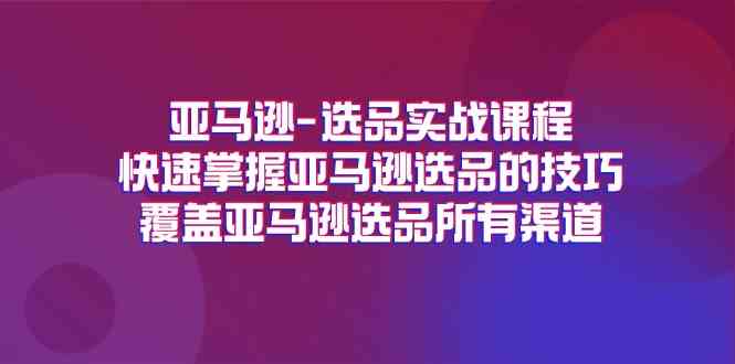 亚马逊选品实战课程,快速掌握亚马逊选品的技巧,覆盖亚马逊选品所有渠道 亚马逊选品实战课程,快速掌握亚马逊选品的技巧,覆盖亚马逊选品所有渠道