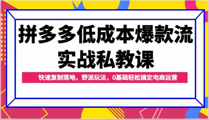 拼多多低成本爆款流实战私教课,快速复制落地,野派玩法,0基础轻松搞定电商运营 拼多多低成本爆款流实战私教课,快速复制落地,野派玩法,0基础轻松搞定电商运营