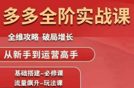 大炮拼多多课程，全阶实战，2026更新