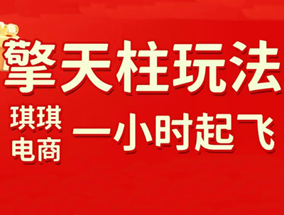 琪琪电商拼多多，擎天柱玩法，更新二月版