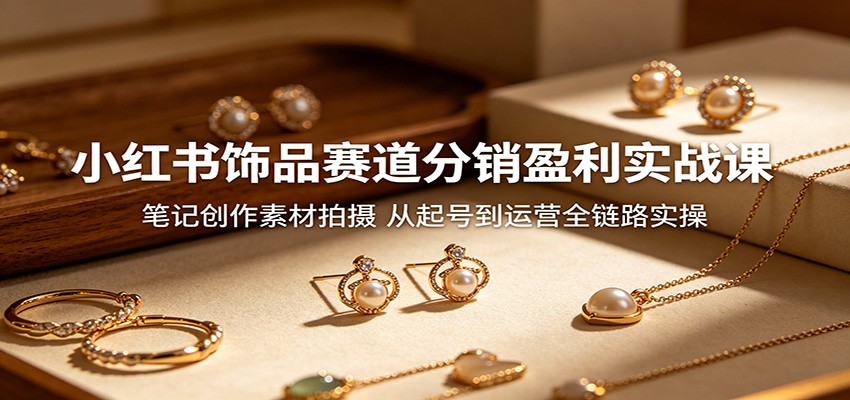 小红书饰品分销实战，笔记素材拍摄，起号运营全链路