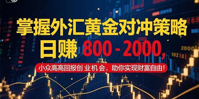 <span style='color:#a100e0'>掌握外汇黄金对冲策略,日赚 800 - 2000,小众高回报创业机会,助你实</span>
