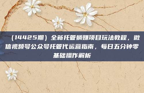 (14425期)全新托管躺赚项目玩法教程,微信视频号公众号托管代运营指南,每日五分钟零基础操作解析