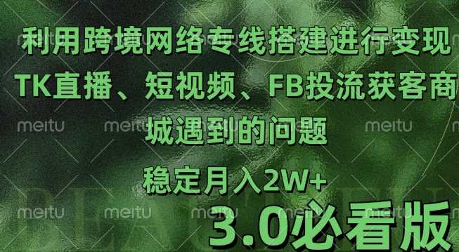 跨境电商实战指南：TK直播与短视频运营、FB精准投流策略及商城问题解决方案