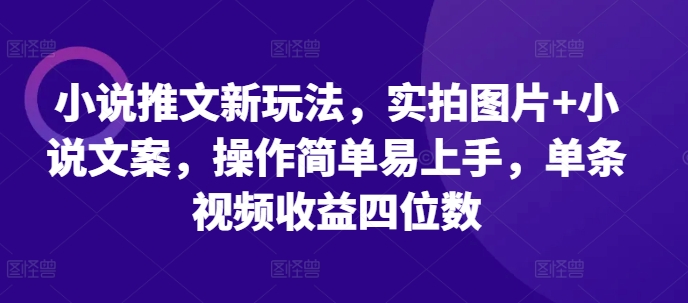 实拍图片结合小说文案,创新推文形式简单易上手,单条视频收益显著提升