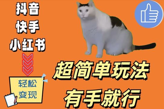 轻松掌握猫咪视频制作技巧，实现每日稳定收益的有效方法