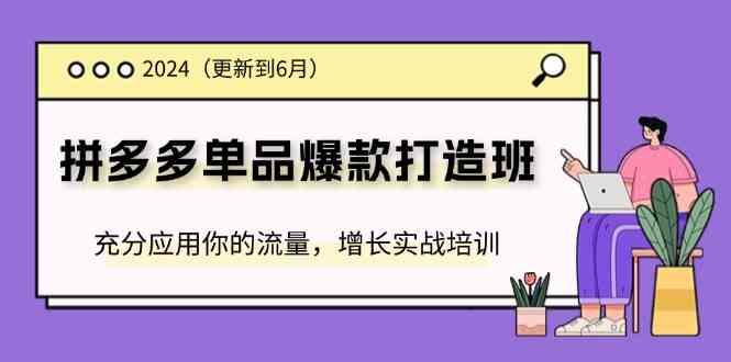 拼多多单品爆款实战指南：高效运用流量策略，提升店铺销售转化能力