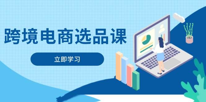 （14547期）跨境电商选品课：涵盖电动滑板车、健康医疗、电子游戏、厨房用品、宠物等