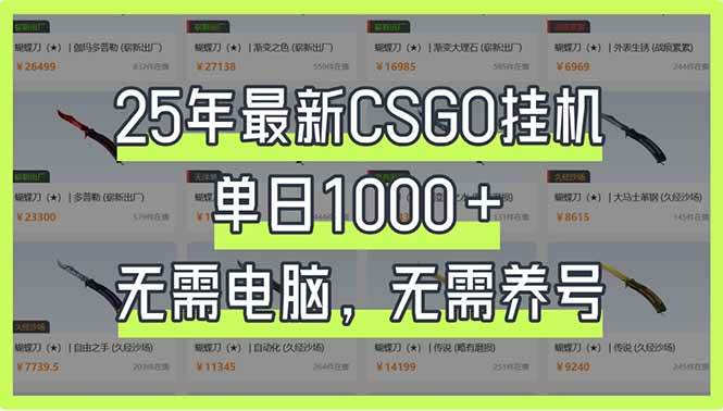 (14178期)25年最新CSGO挂机系统,单日1000+,无需电脑,无需养号,0基础可上手 (14178期)25年最新CSGO挂机系统,单日1000+,无需电脑,无需养号,0基础可上手