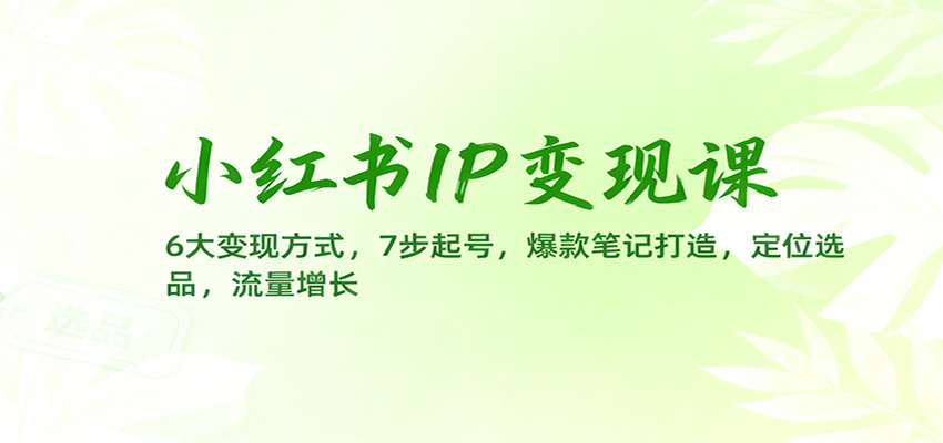 小红书IP变现课:6大变现方式,7步起号,爆款笔记打造,定位选品,流量增长 小红书IP变现课:6大变现方式,7步起号,爆款笔记打造,定位选品,流量增长