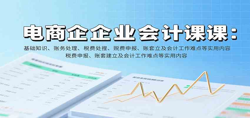 电商企业会计课:基础知识、账务处理、税费申报、账套建立及会计工作难点等实用内容 电商企业会计课:基础知识、账务处理、税费申报、账套建立及会计工作难点等实用内容