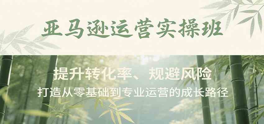 亚马逊运营实操班,提升转化率、规避风险,打造从零基础到专业运营的成长路径