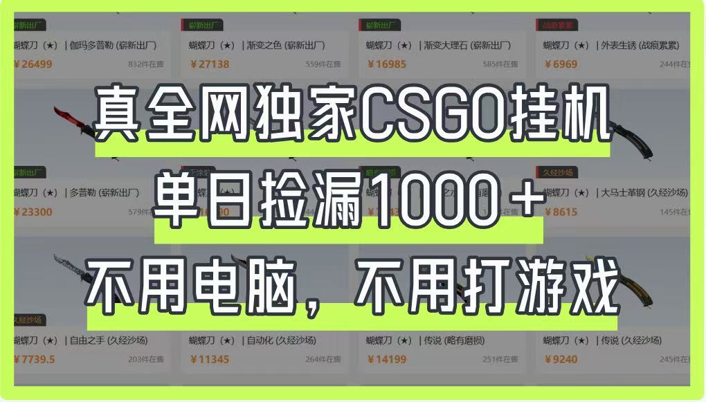 真全网独家CSGO挂机,单日捡漏1000+,不用电脑,不用养号