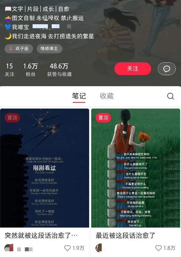 小红书治愈文案图文笔记，零门槛，一分钟制作轻松制作爆款作品月入万元（2）