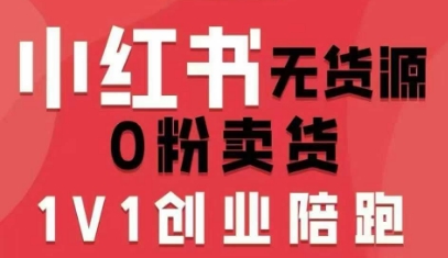 小红书无货源电商实战课 开店选品笔记视频全攻略 账号打造与数据分析指南