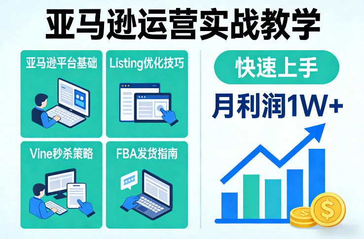 亚马逊运营实战教学 亚马逊平台+Listing优化+Vine秒杀+FBA发货等、快速上手 实现店铺月利润1W、实现店铺月利润1W