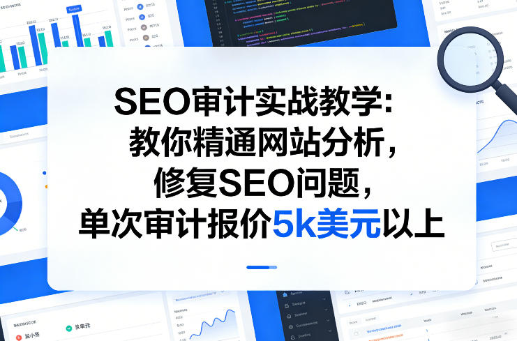 SEO审计实战教学、精通网站分析与问题修复、单次报价可达五千美元