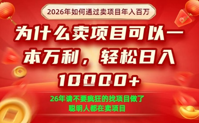 一单净利润1K+、26年想年入100个W、死磕卖项目就够了【揭秘】