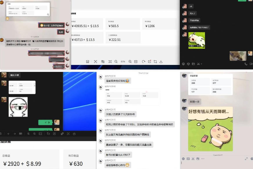 雷神加速器项目模拟器 无脑一分钟一条视频 矩阵式疯狂报单打法（2）