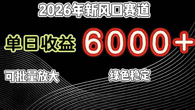 (17135期)2026年新风口赛道,当日6000+以上,可批量放大,月收入20万+,长期绿色稳定的项目