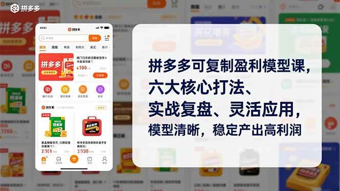 (16952期)拼多多可复制盈利模型课,六大核心打法、实战复盘、灵活应用,模型清晰,稳定产出高利润