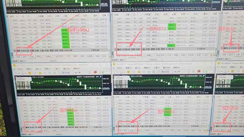 （16653期）2025超前美金自动量化！单人单日收益1000+，线下学习，支持实地考察（2）
