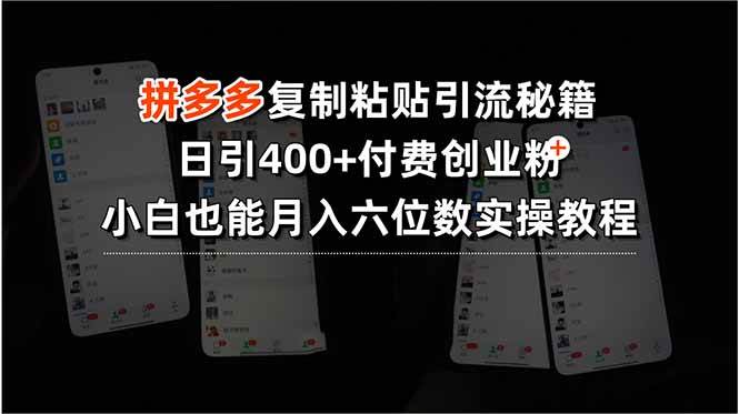 （15613期）拼多多复制粘贴引流秘籍，日引400+付费创业粉，小白也能月入六位数实操…