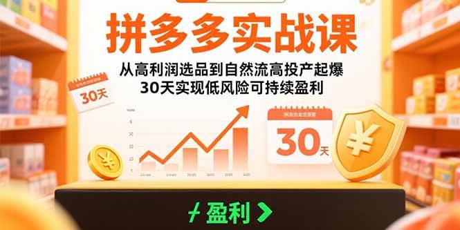 (15586期)拼多多实战课:从高利润选品到自然流高投产起爆 30天实现低风险可持续盈利 (15586期)拼多多实战课:从高利润选品到自然流高投产起爆 30天实现低风险可持续盈利
