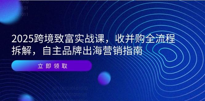 （14975期）2025跨境致富实战课，收并购全流程拆解，自主品牌出海营销指南