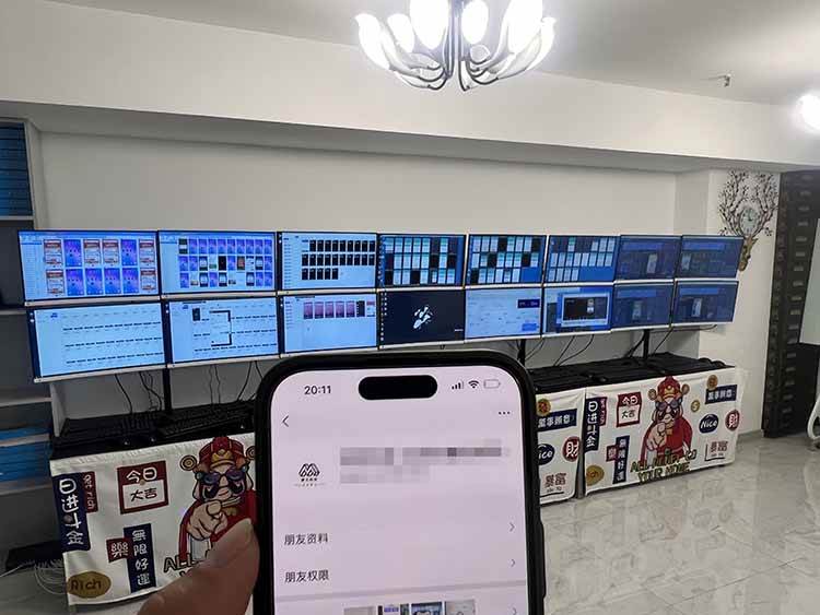 （14767期）2025年实操六大项目实操演练，挂机类型，AI直播类型，轻资产创业类型，…（2）